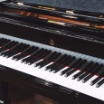 画像2: [NEW] Steinway＆Sons A-188 グランドピアノ (2)