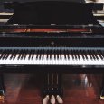 画像1: [NEW] Steinway＆Sons M-170 グランドピアノ (1)