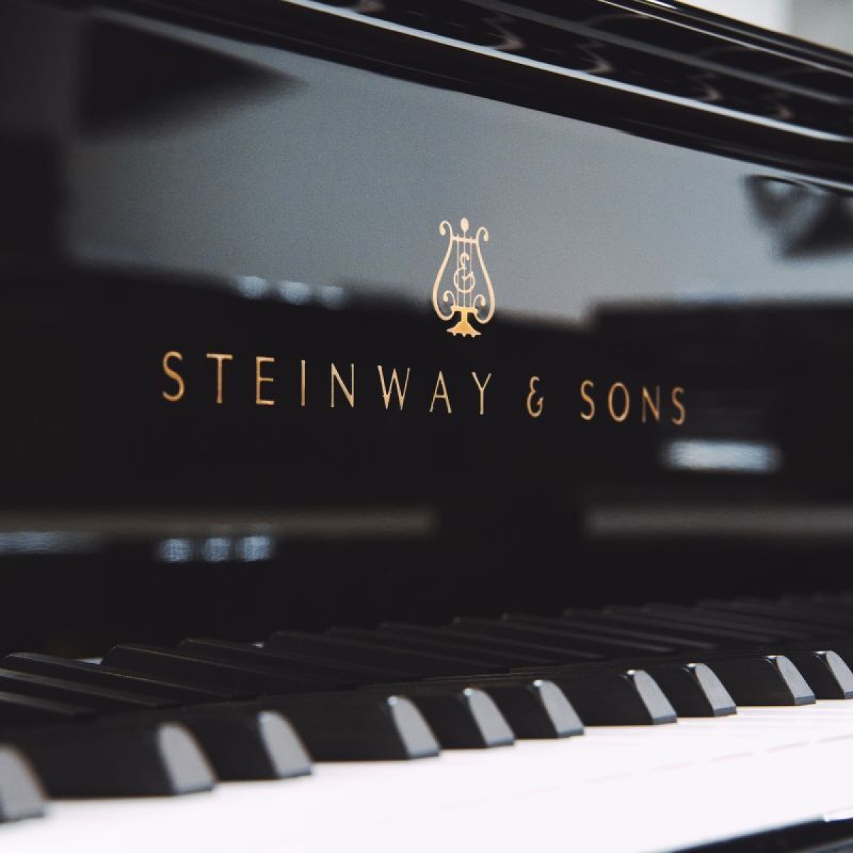画像2: [NEW] Steinway＆Sons M-170 グランドピアノ